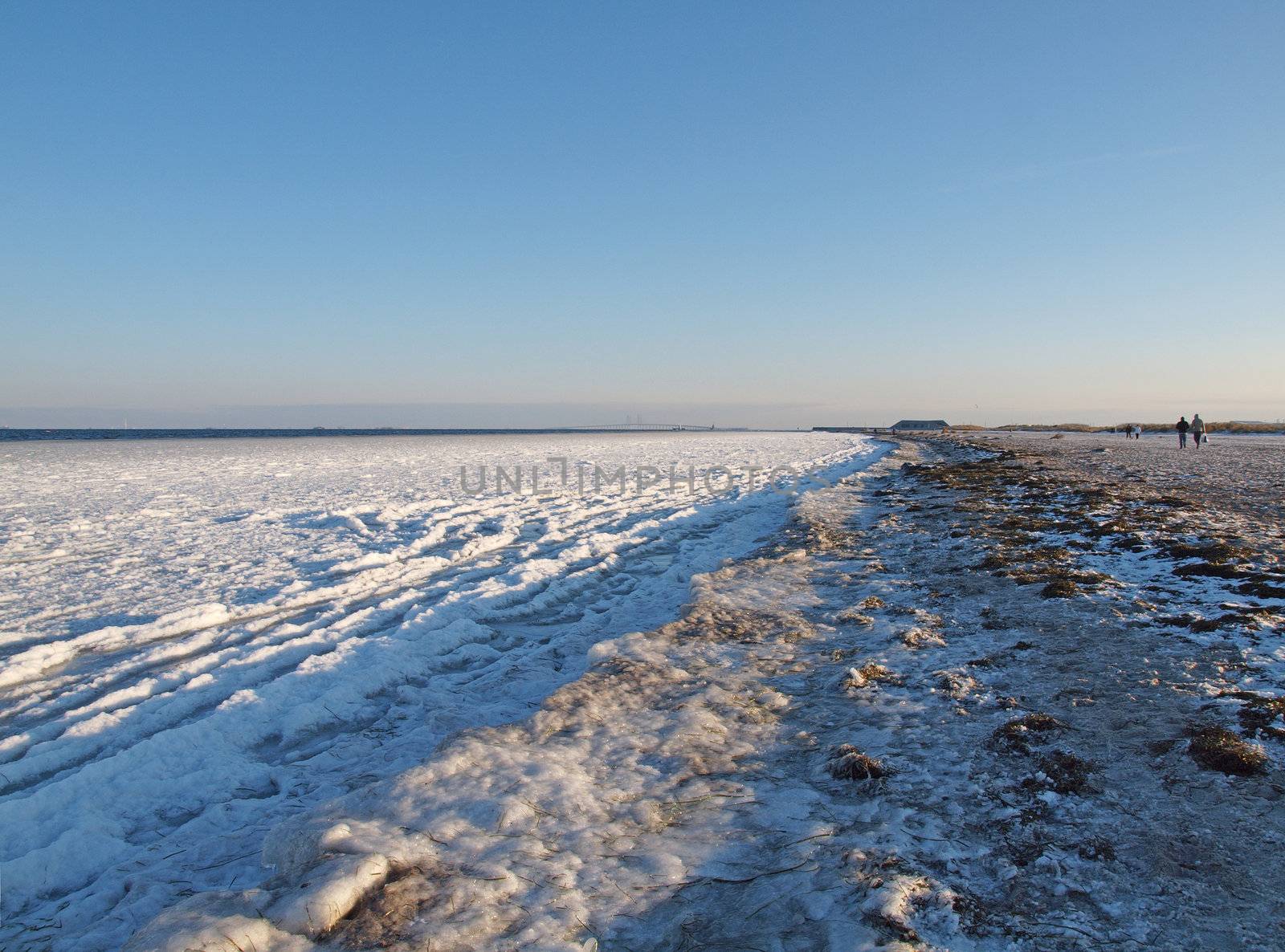 frozen shoreline of amager beach in copenhagen denmark