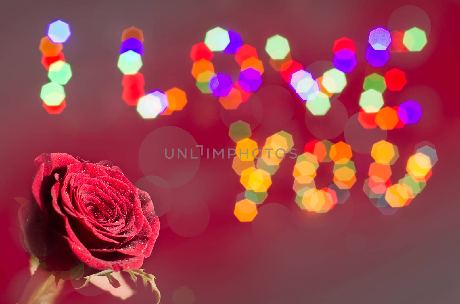 Valentine's image of a rose with a message I LOVE YOU in bokeh lights background