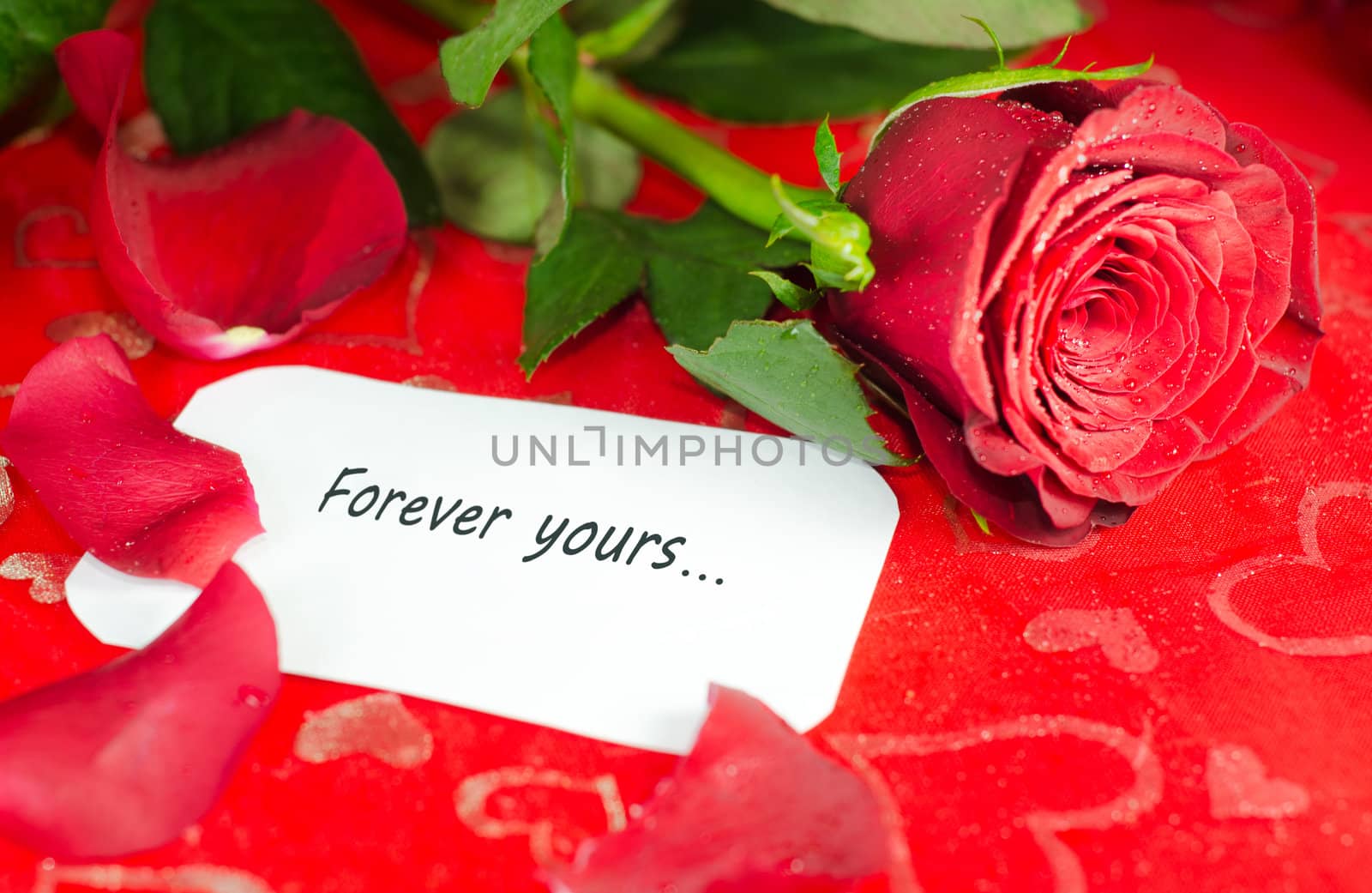 Valentine's image of a rose with a white message card with text.