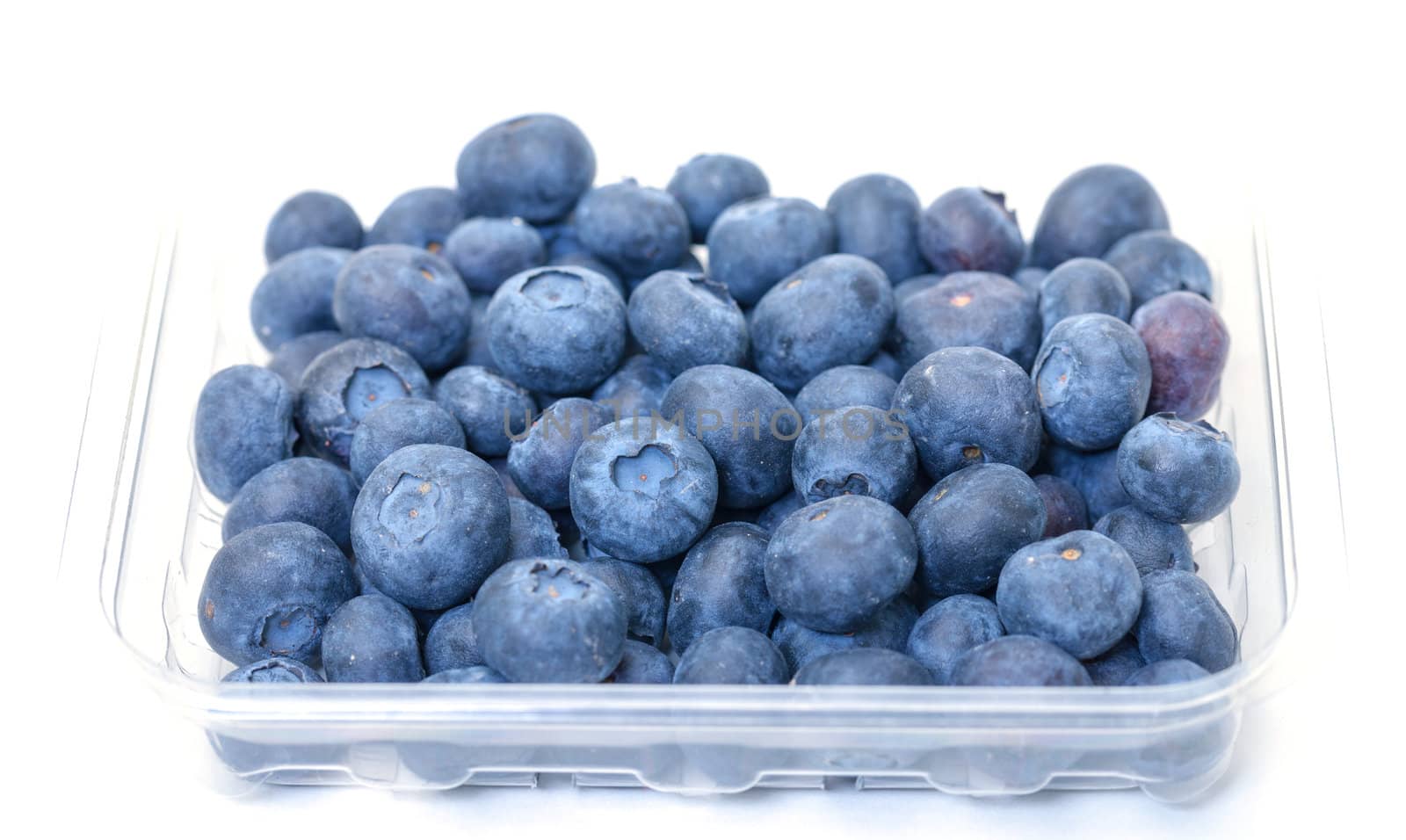 Fresh Blueberries in Plastic Container on white background