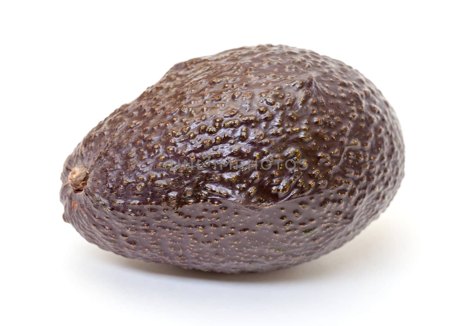 Haas Avocado on white background