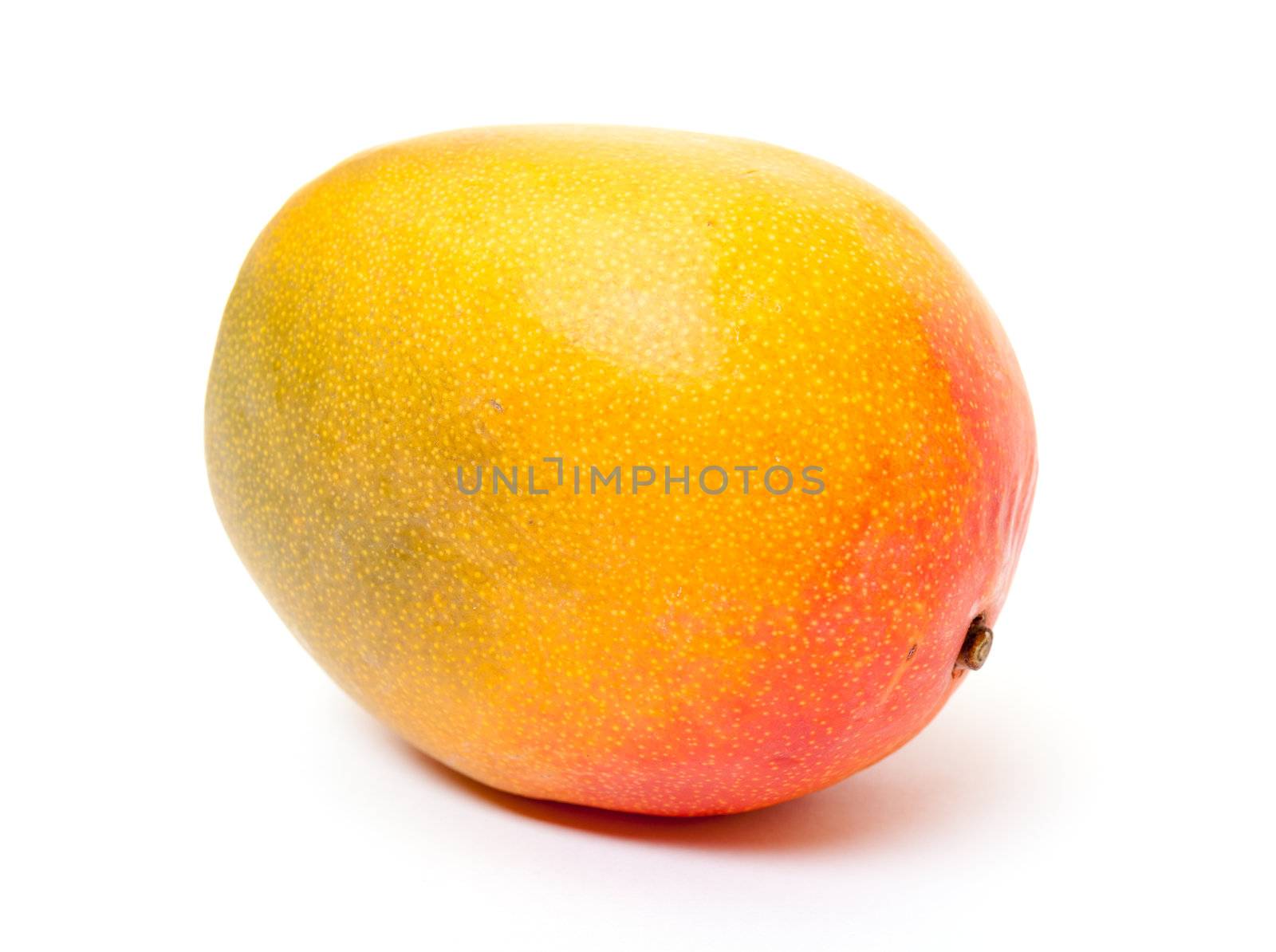 Fresh Mango by Discovod