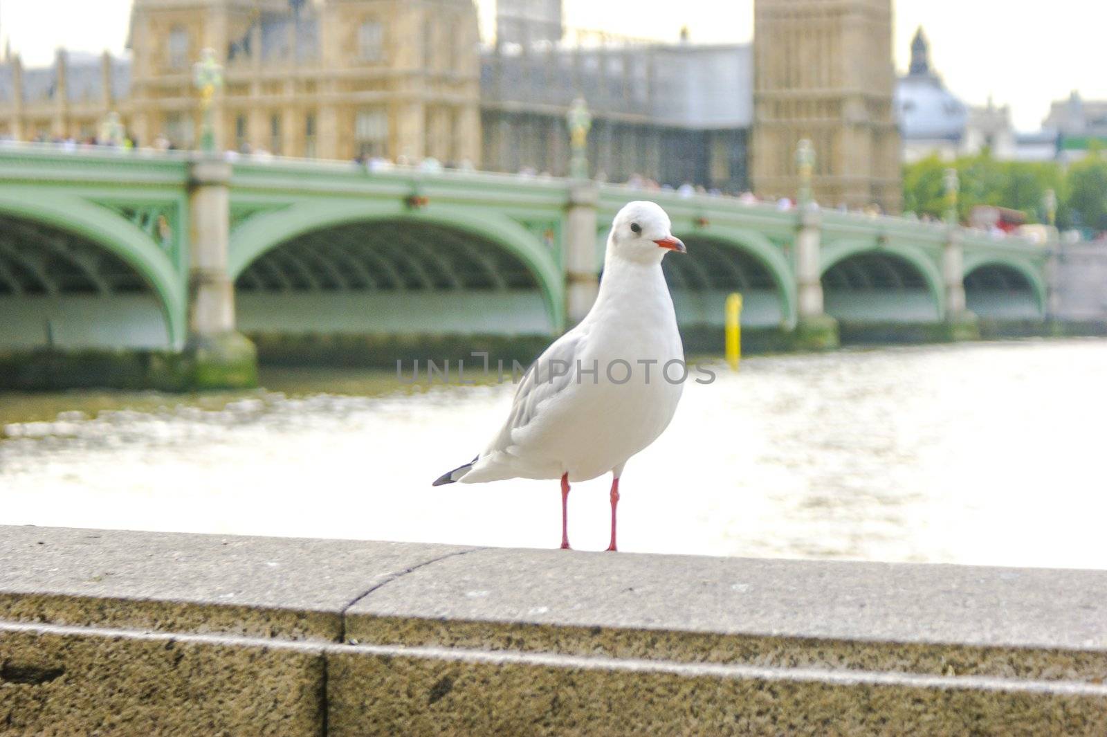 An image of historical achitecture in London UK
