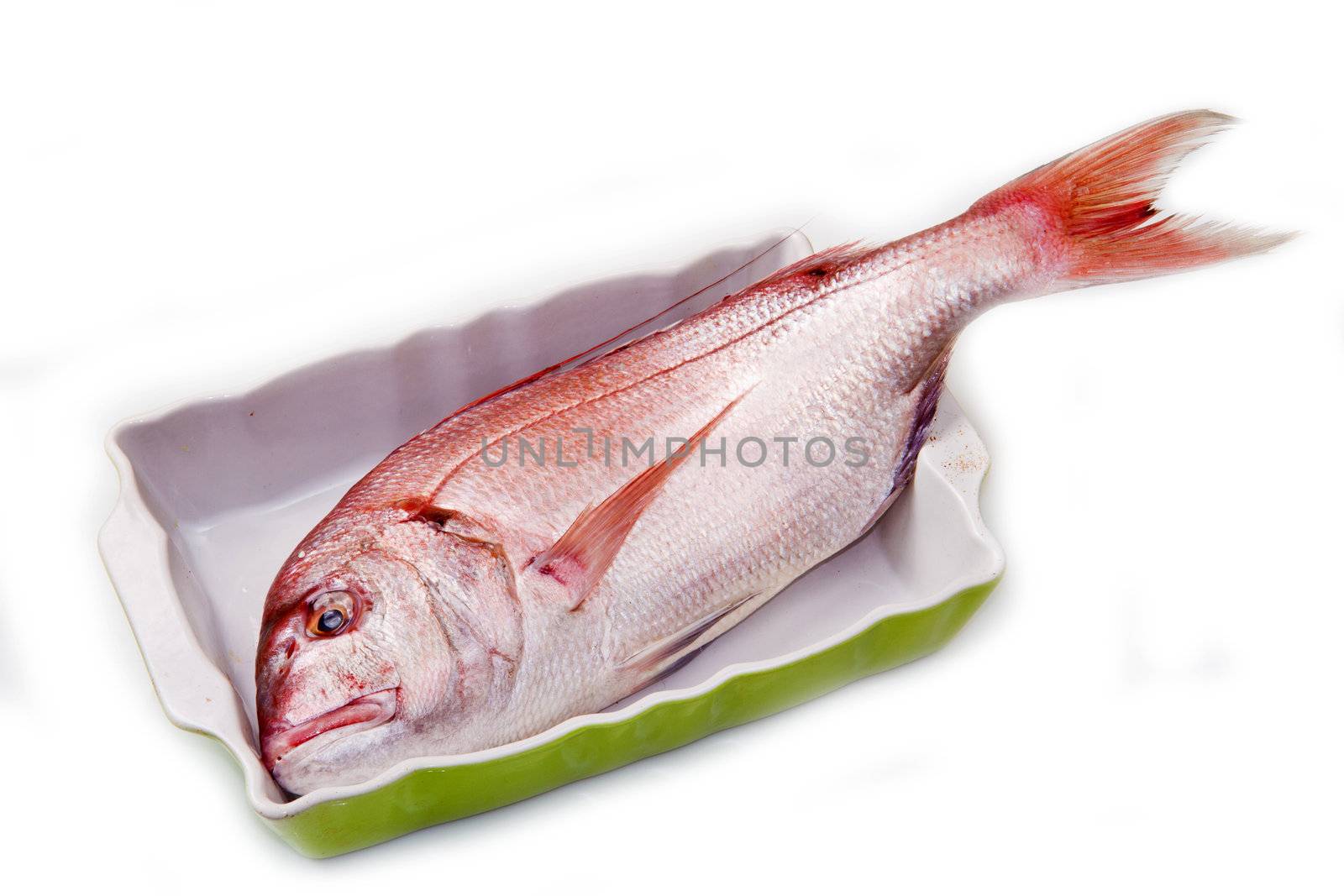 snapper red fish in a baking tin isolated on white by lsantilli