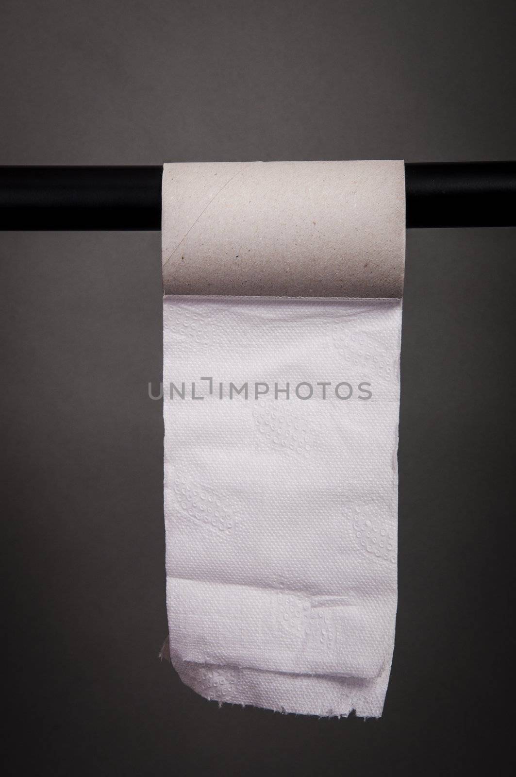 An image of empty toilet paper roll