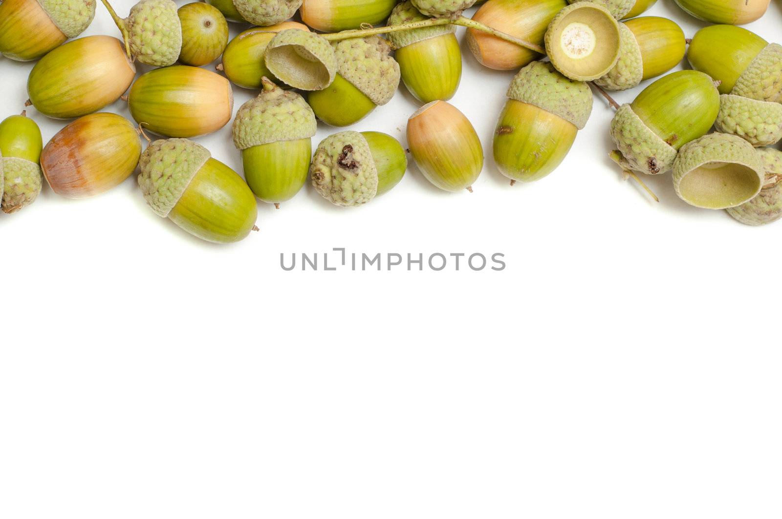 An image of haycorns