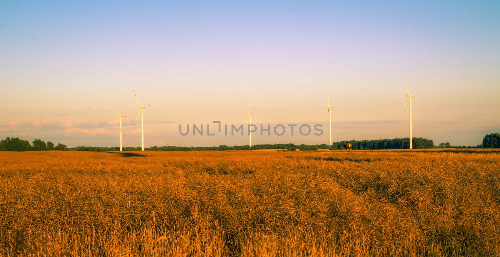 An image of windturbines at dusk