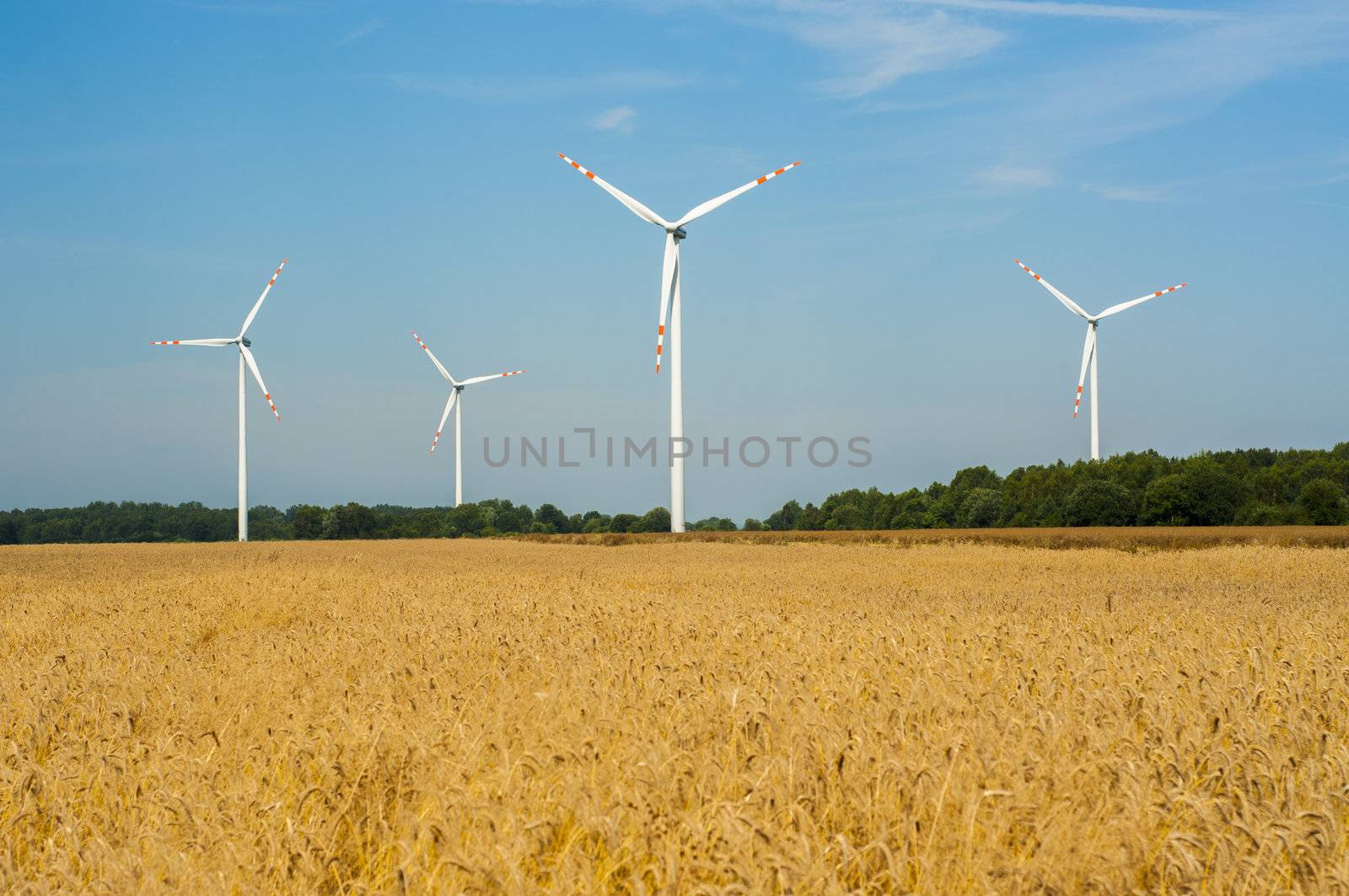 Windturbines in the summer time. 