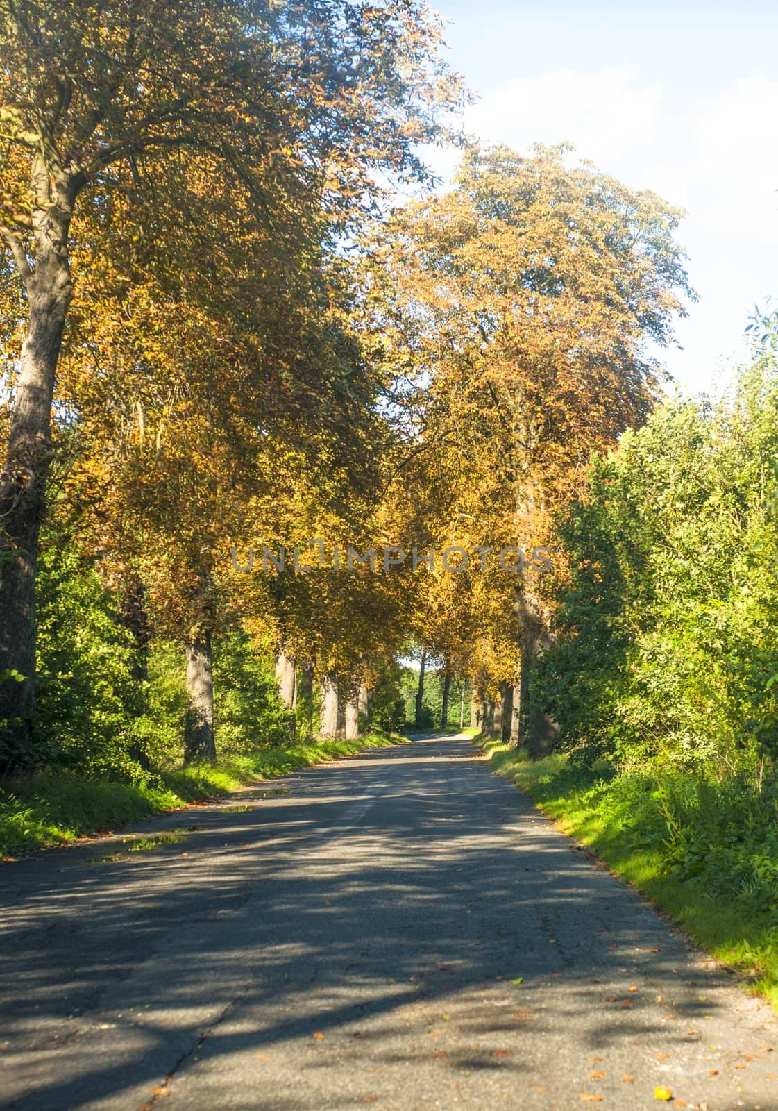 An image of highway road 