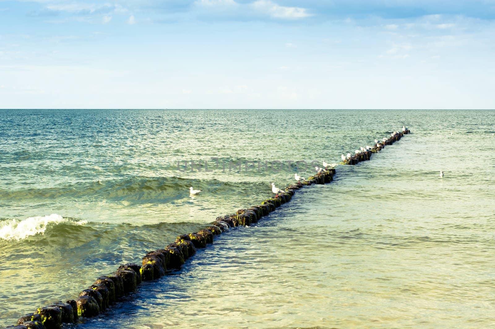 An image of baltic sea at sunny day
