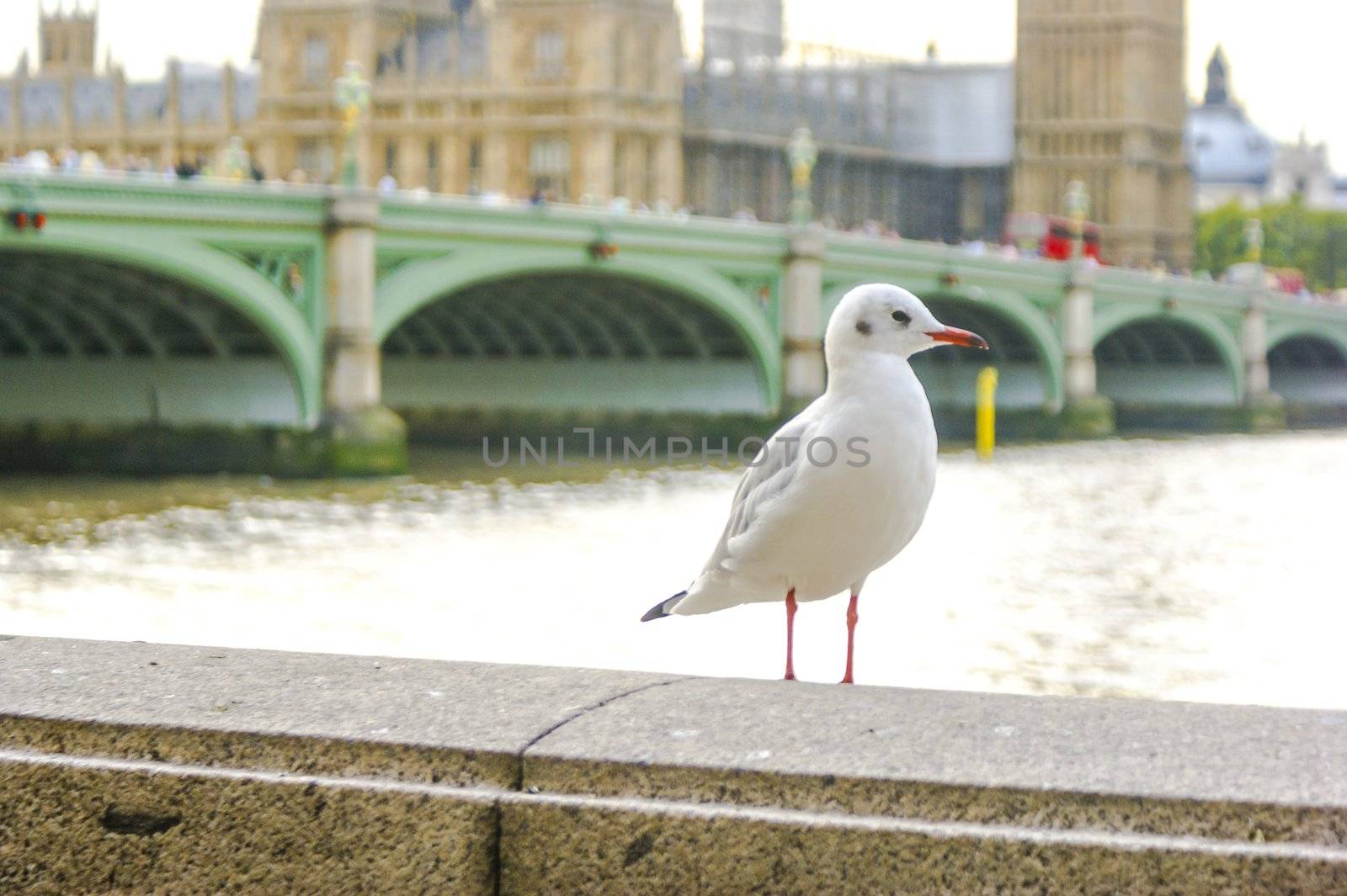 An image of historical achitecture in London UK