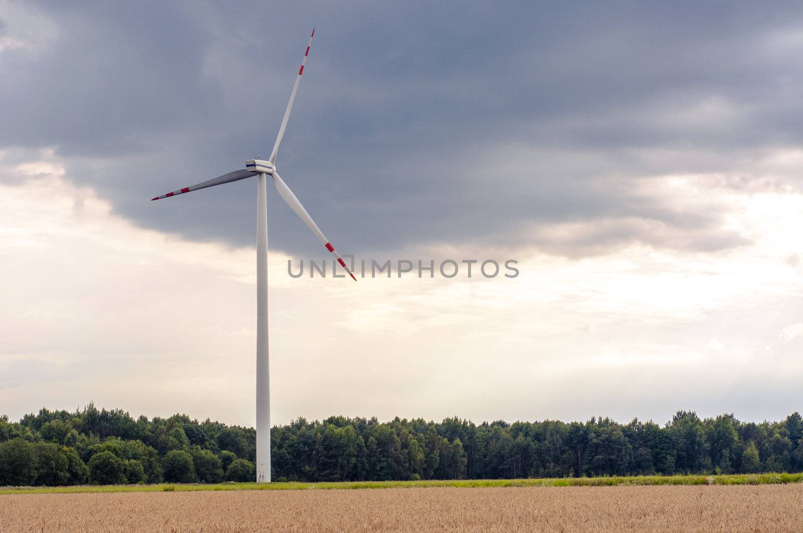 Windturbines in the summer time. 