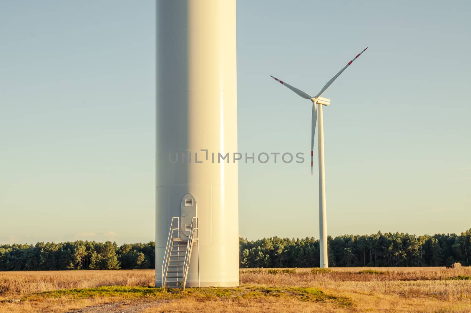 An image of windturbines at dusk