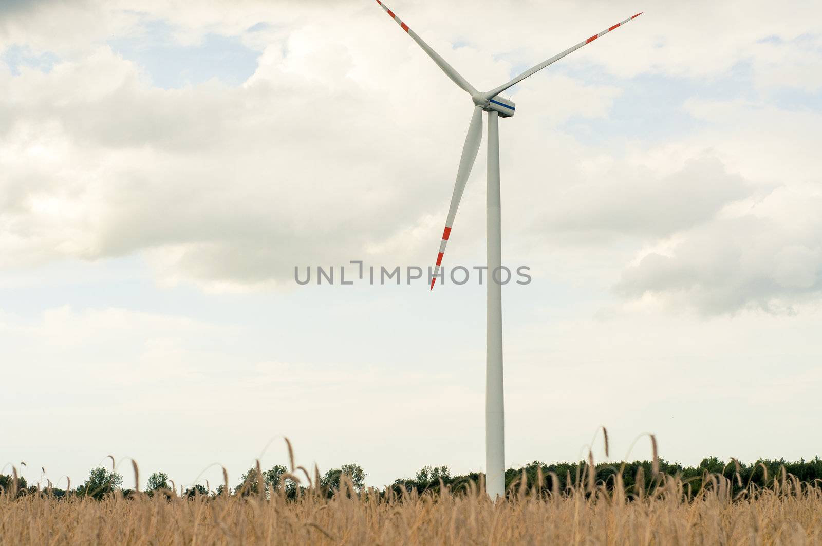 Windturbines in the summer time. 