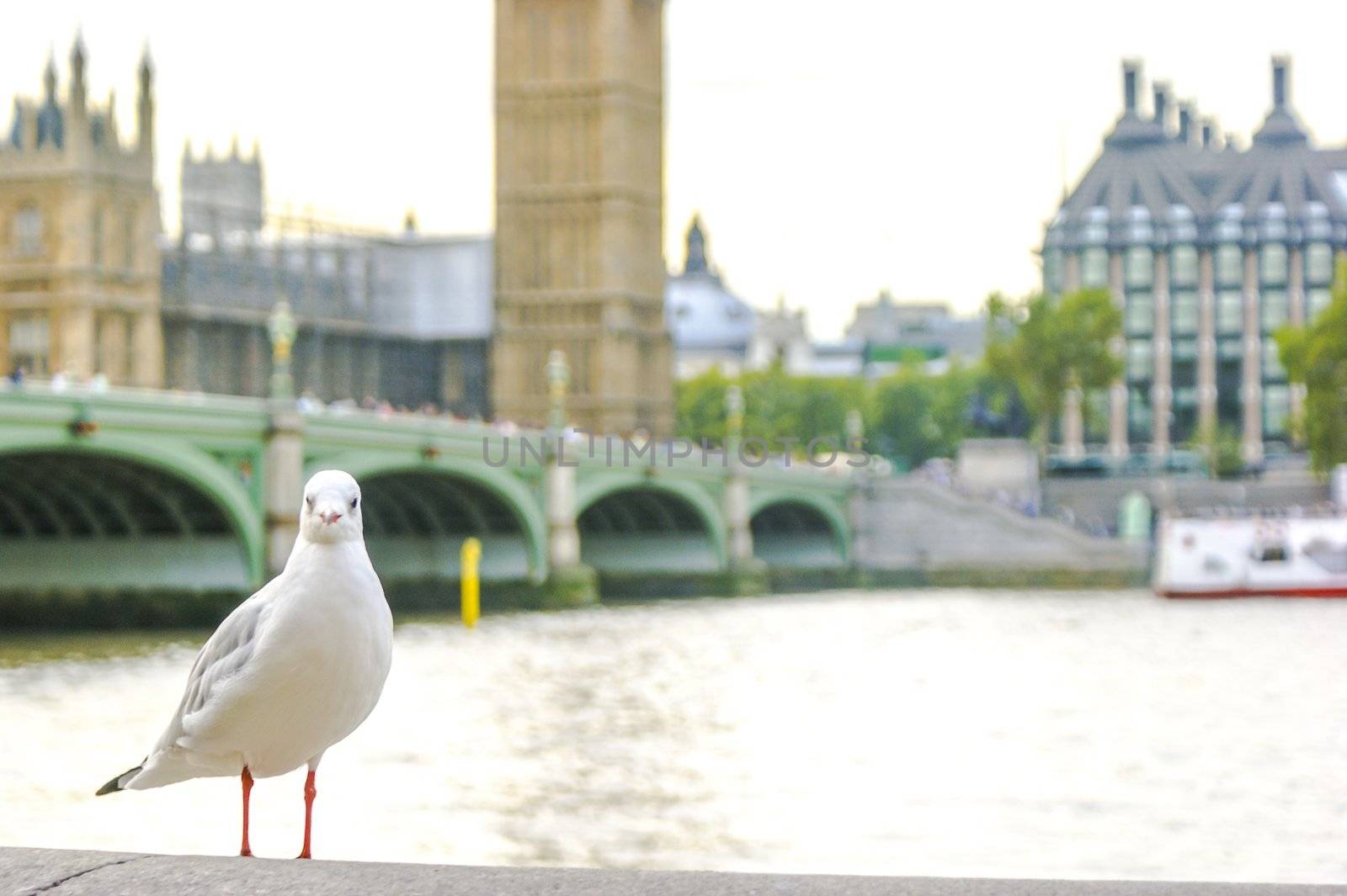 An image of historical achitecture in London UK