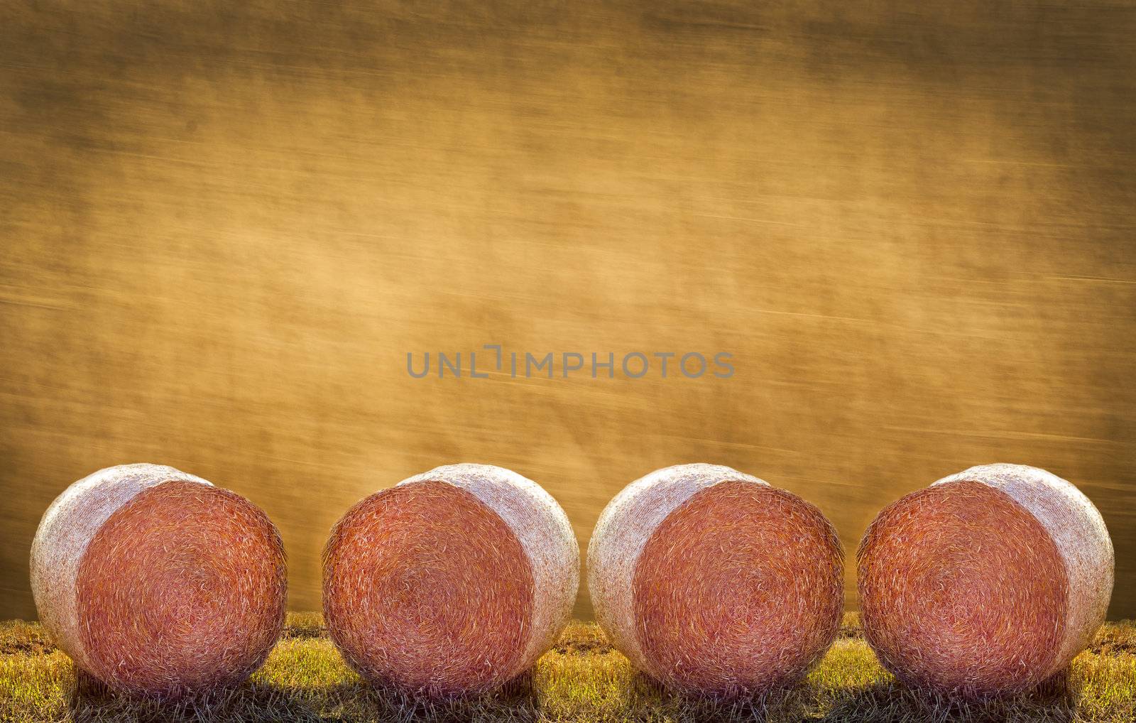 An image of straw bales. Agriculture background