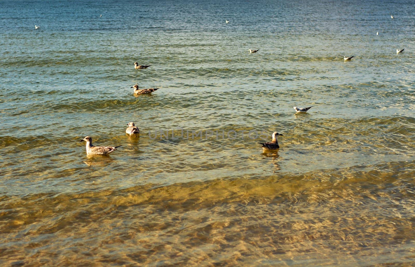 An image of baltic sea at sunny day