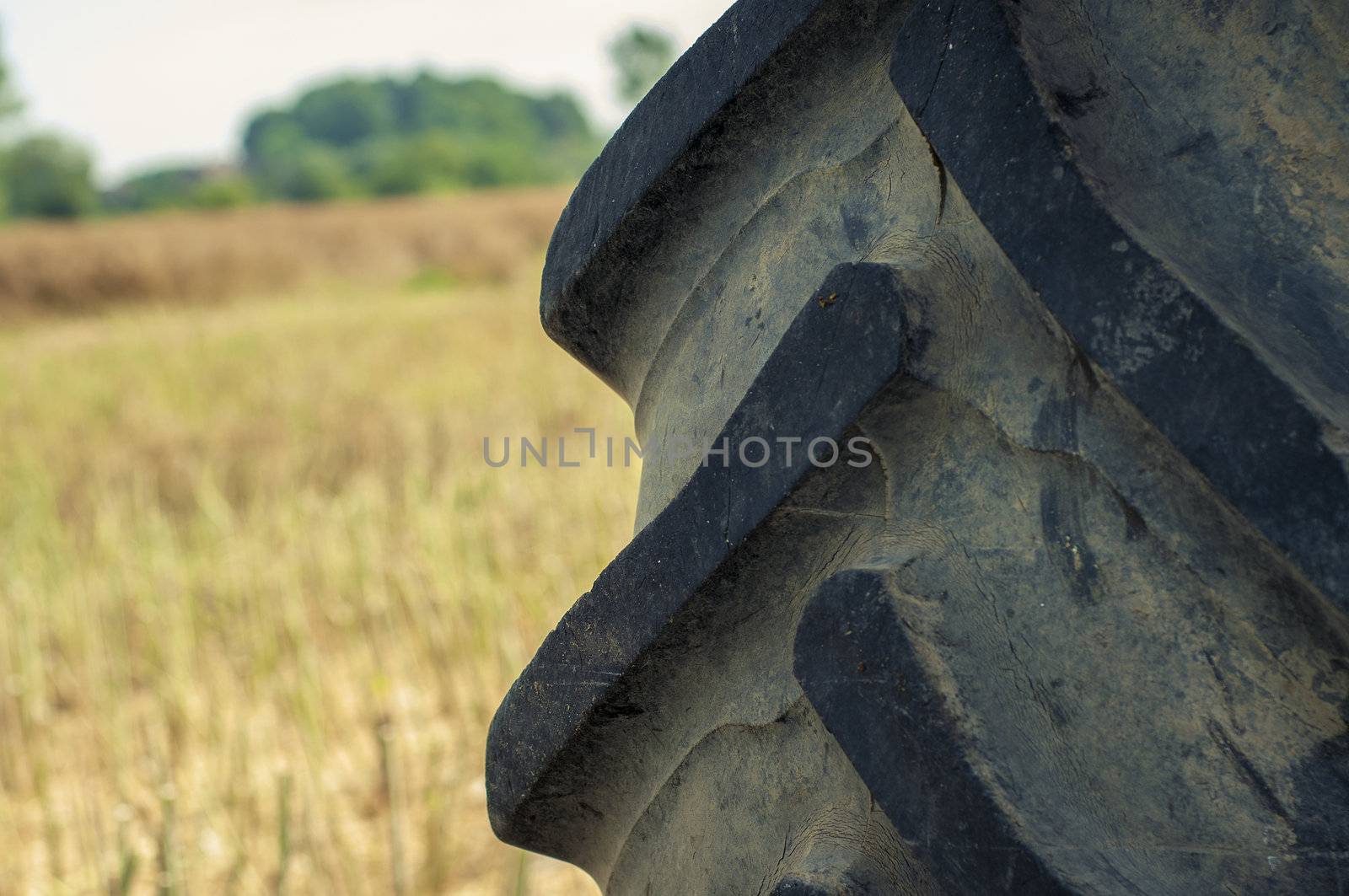 Agricultural tire from tractor standing on the field