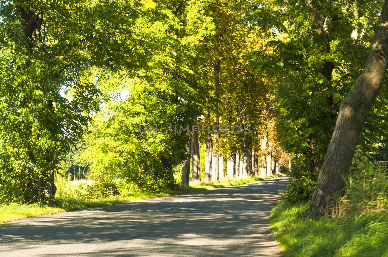 An image of highway road 