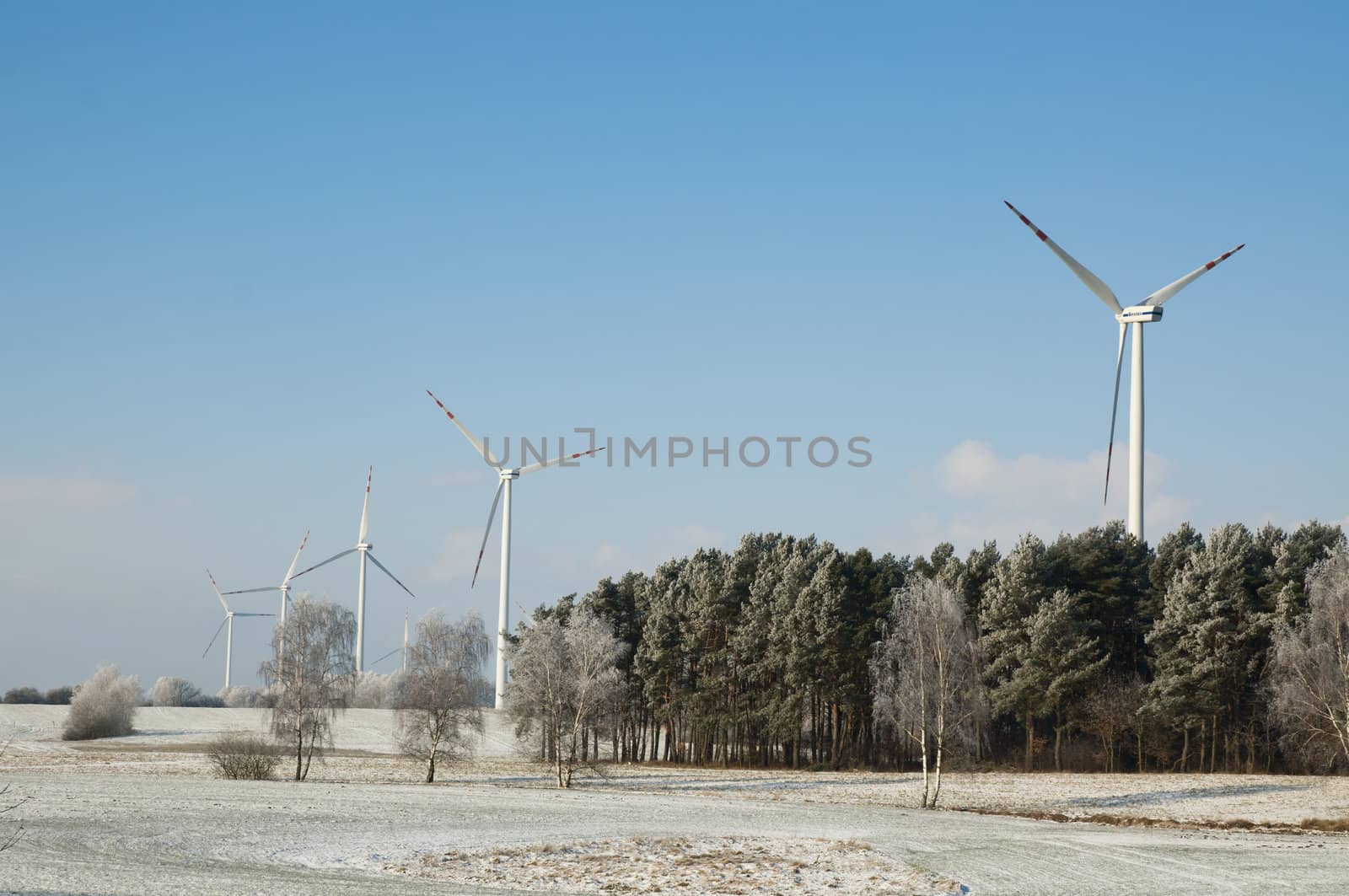An image of winter scenery with windturbines in the background 