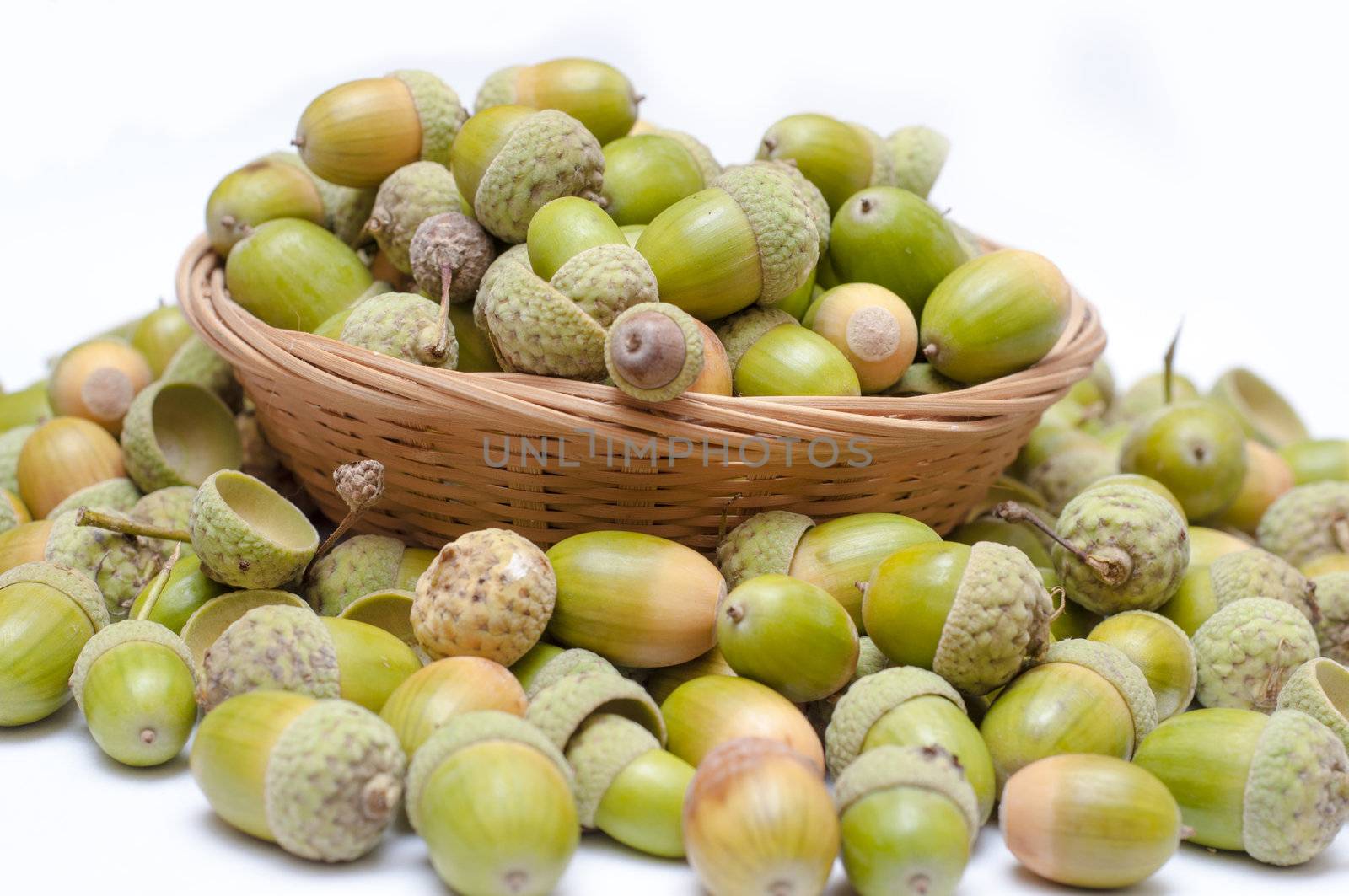 An image of haycorns