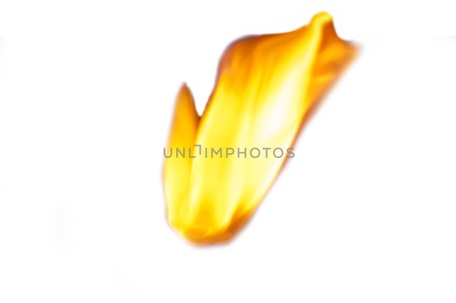 An image of yellow flame isolated on white