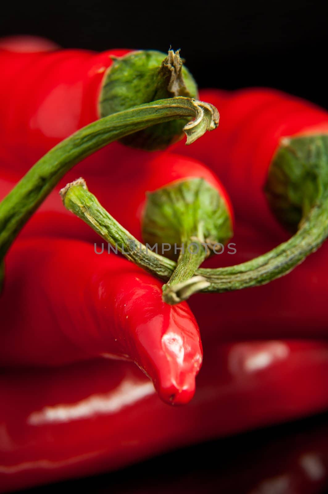 An image of red chilli pepper isolated