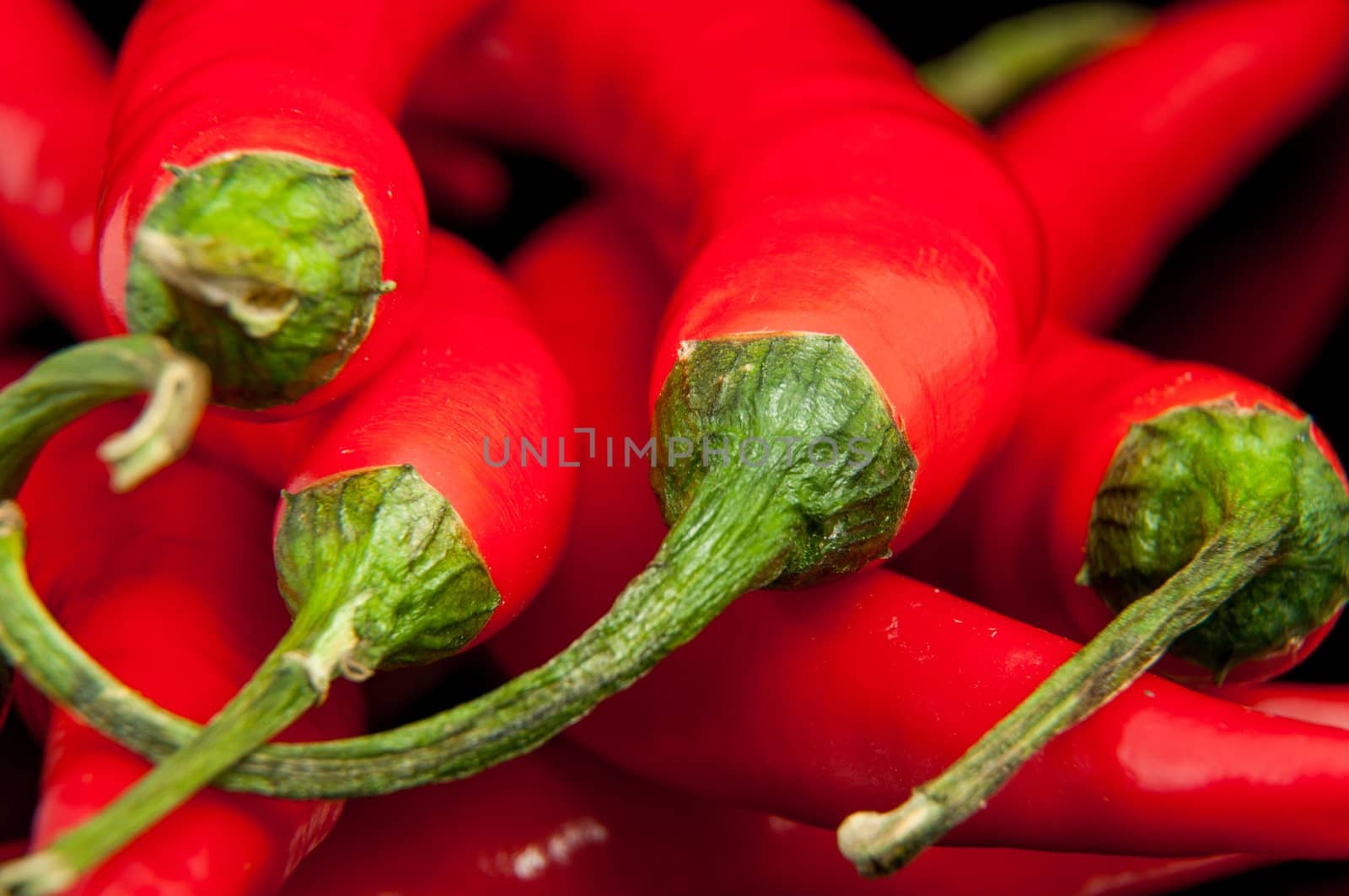 An image of red chilli pepper isolated