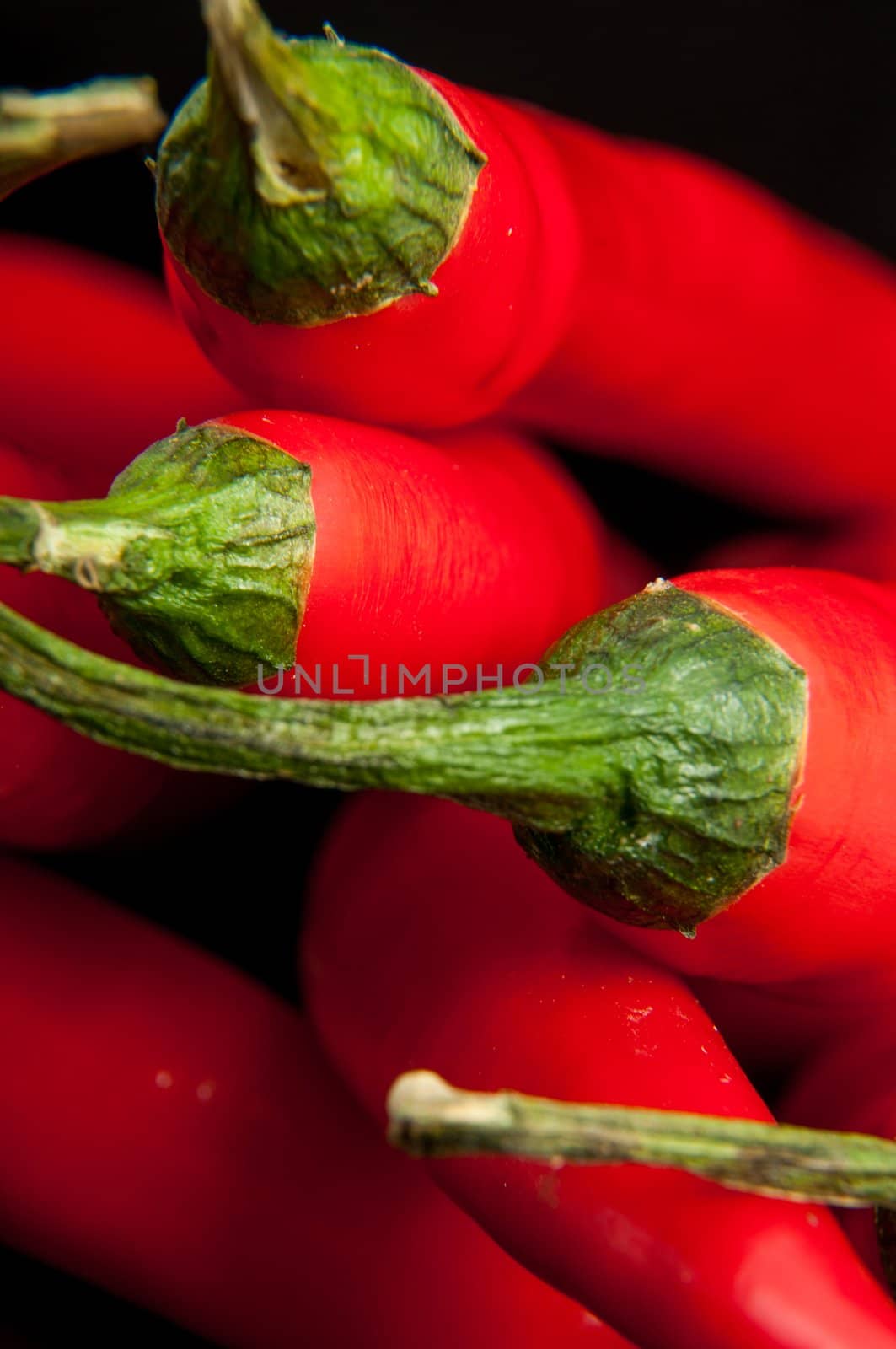 An image of red chilli pepper isolated