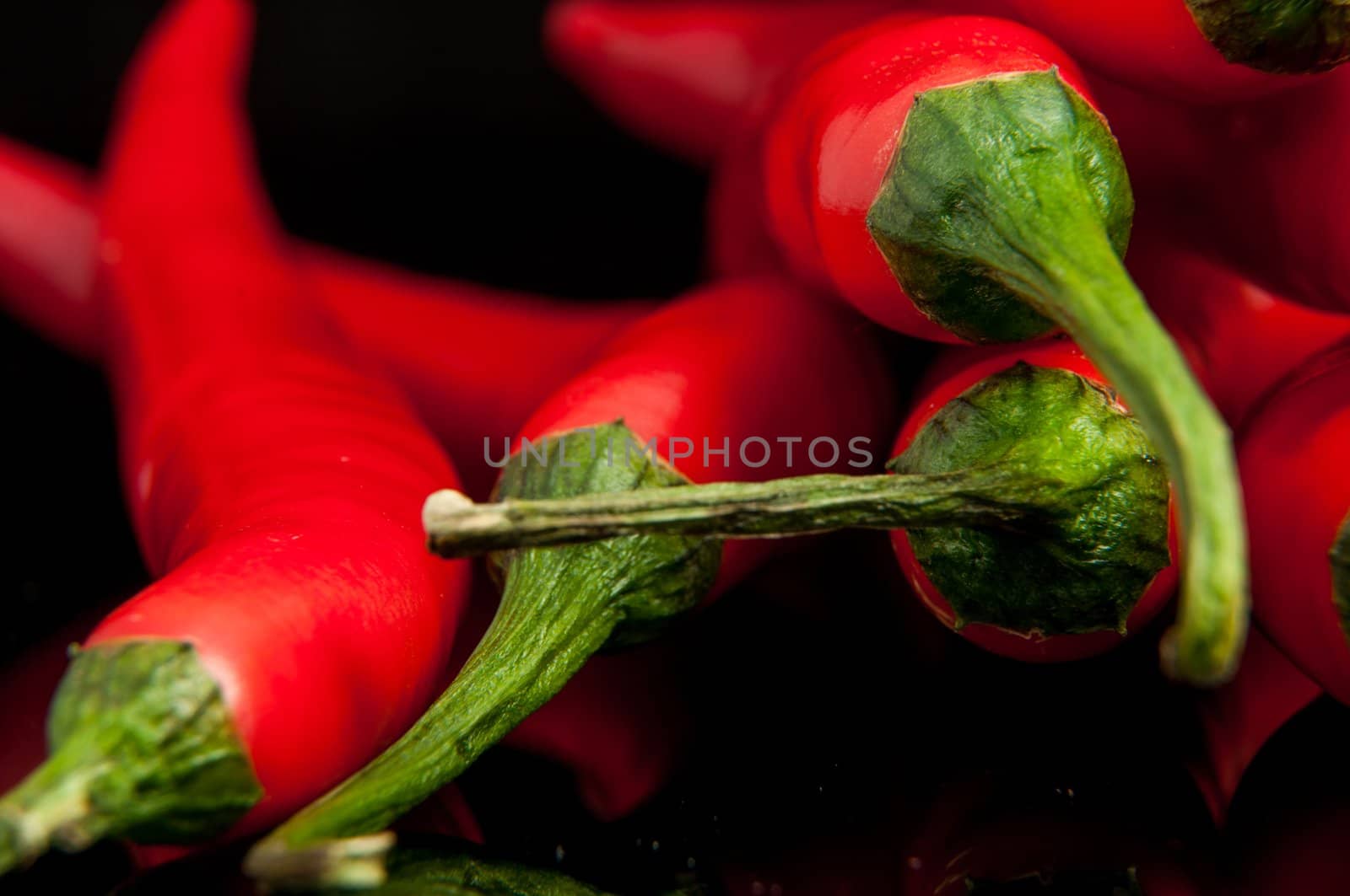 An image of red chilli pepper isolated