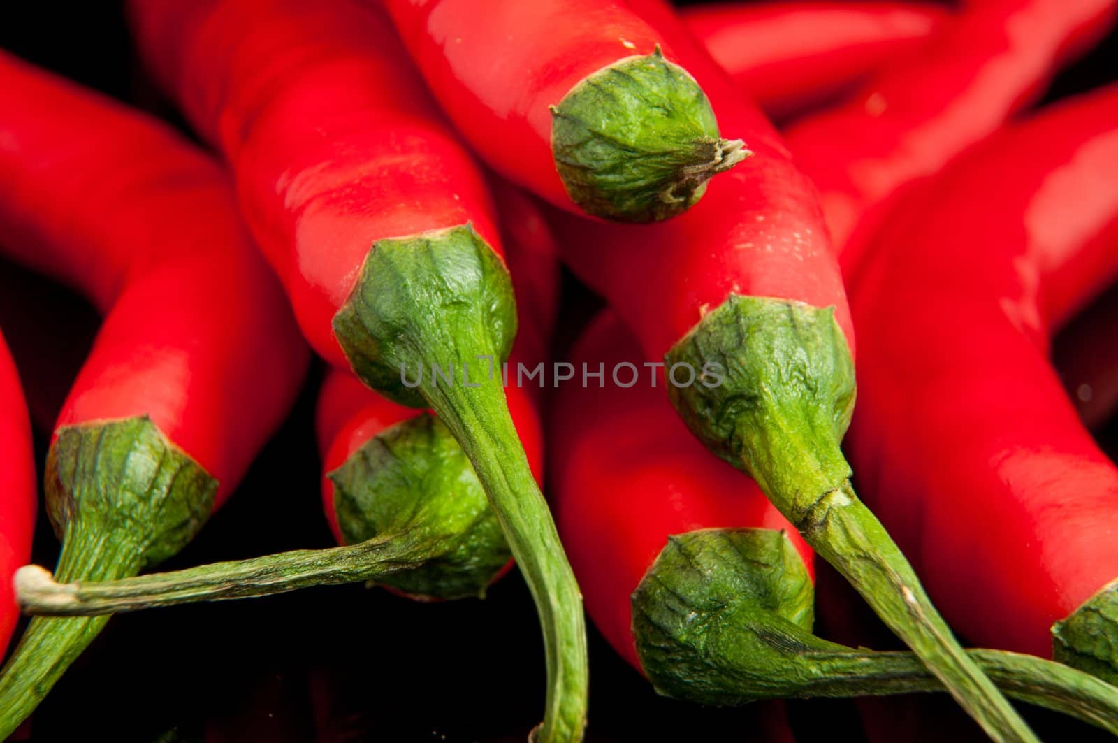 An image of red chilli pepper isolated