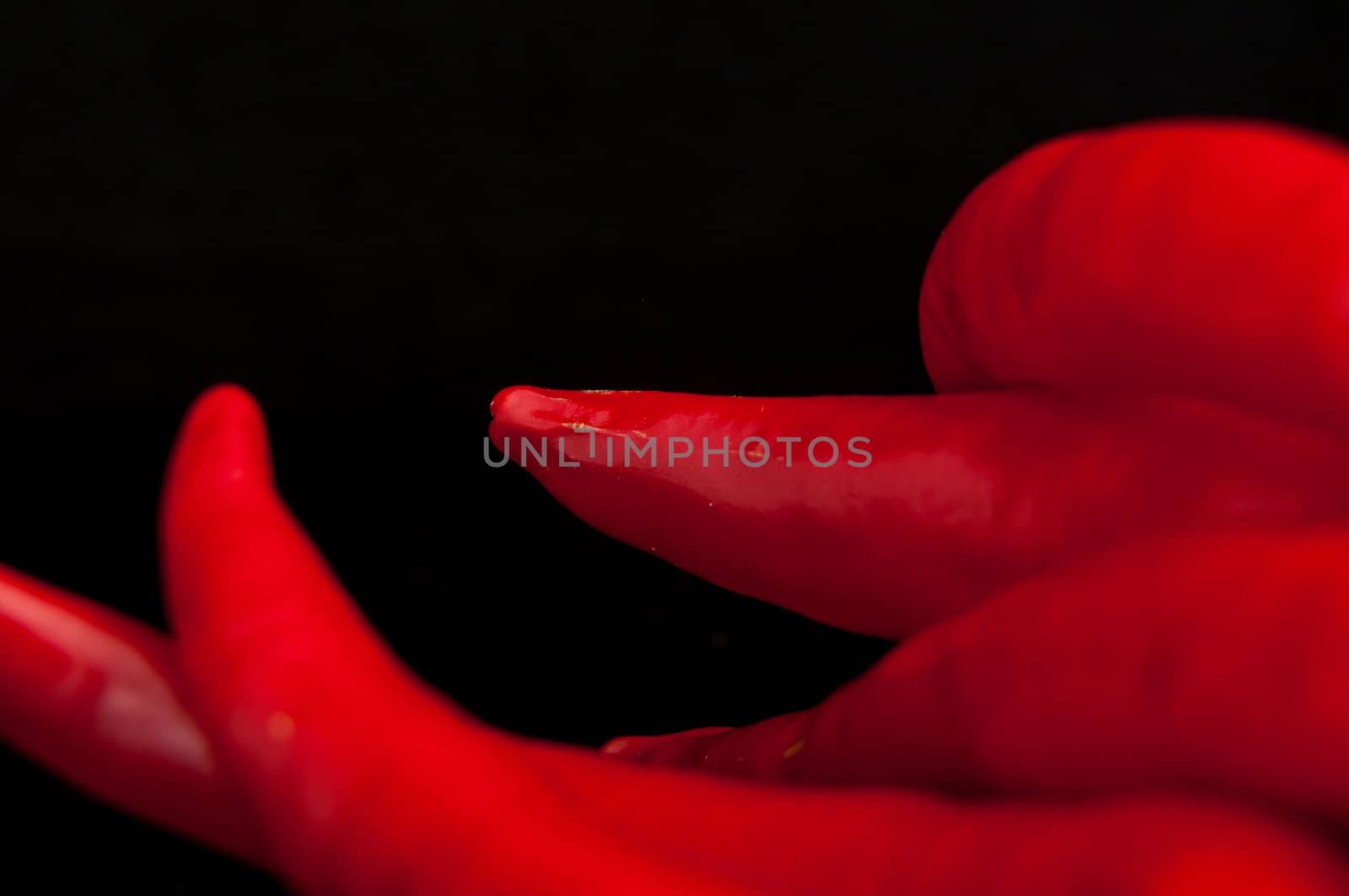 An image of red chilli pepper isolated
