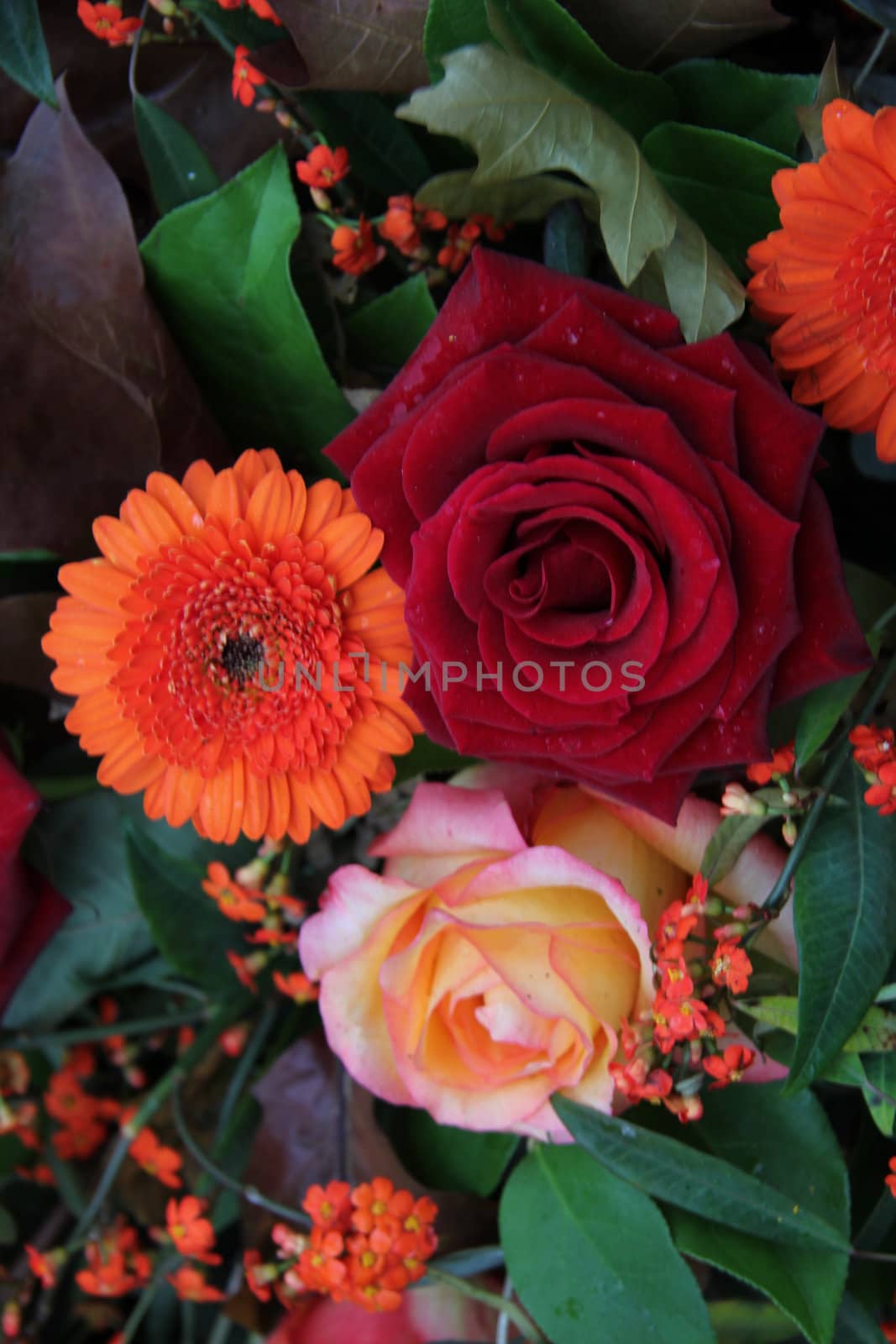 Flower arrangement in autumn colors by studioportosabbia
