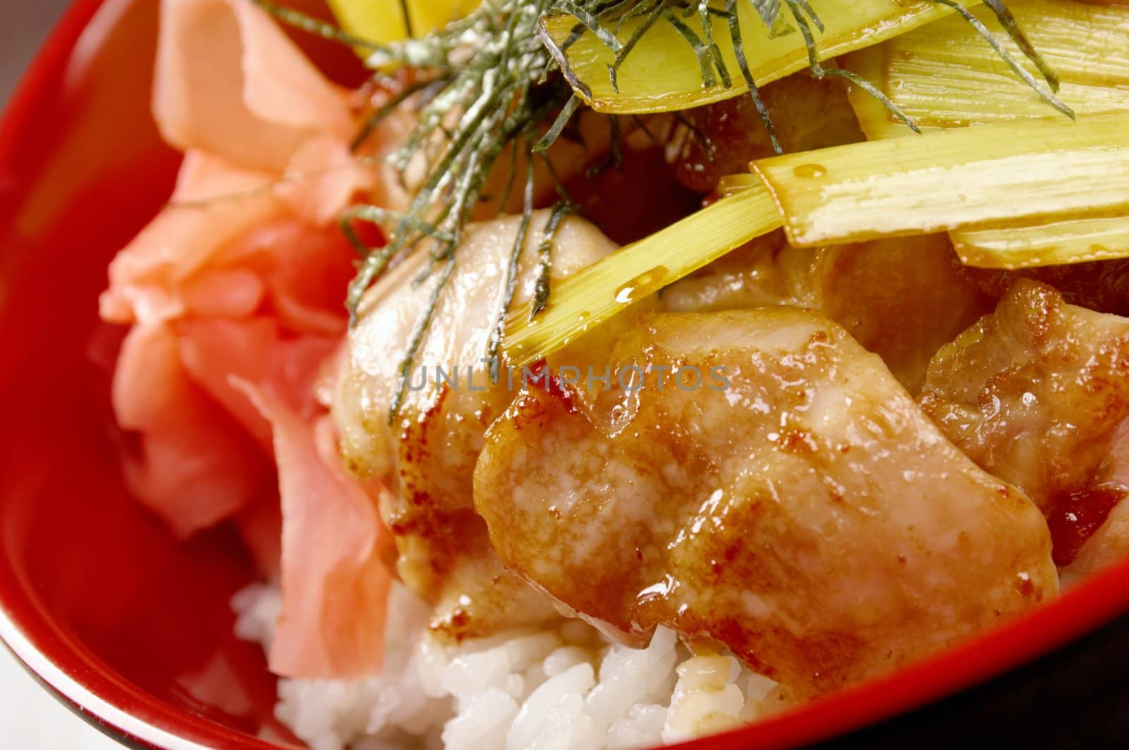 Chicken with rice and bamboo.Japanese Food 