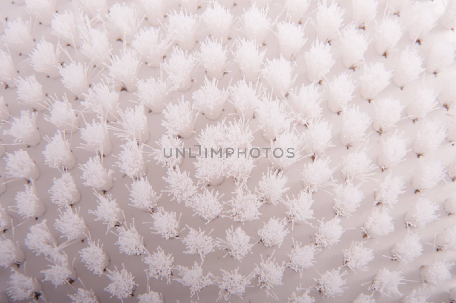 an image of white brush isolated on black