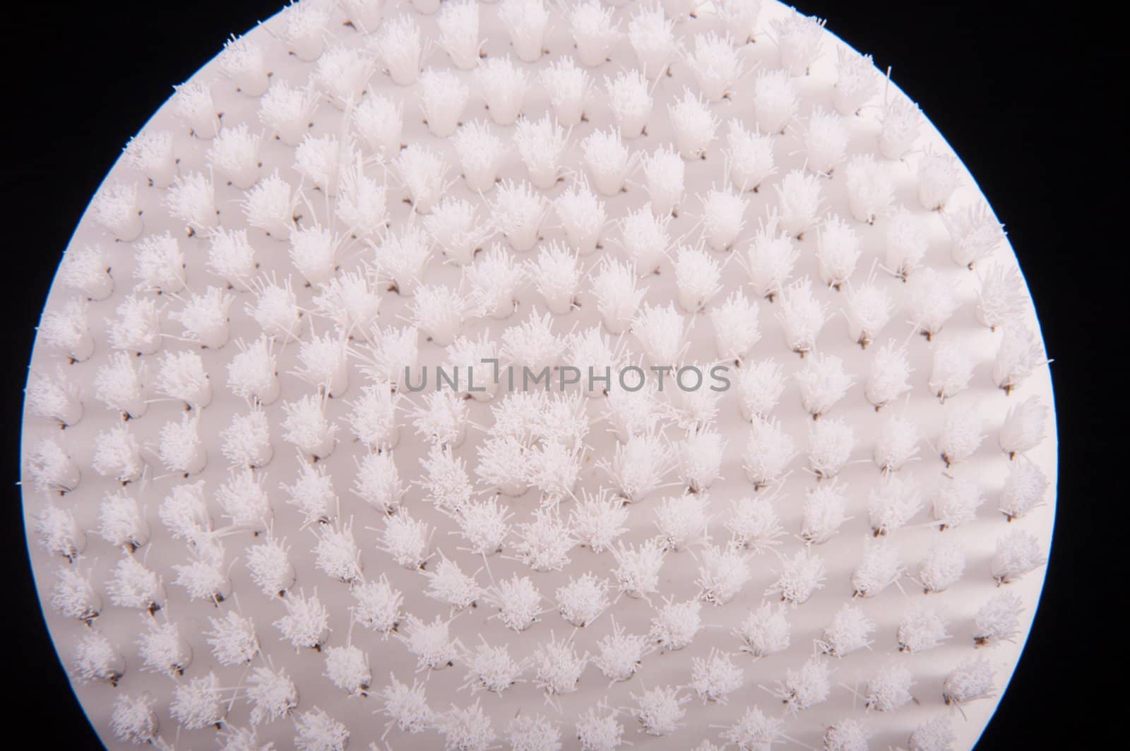 an image of white brush isolated on black