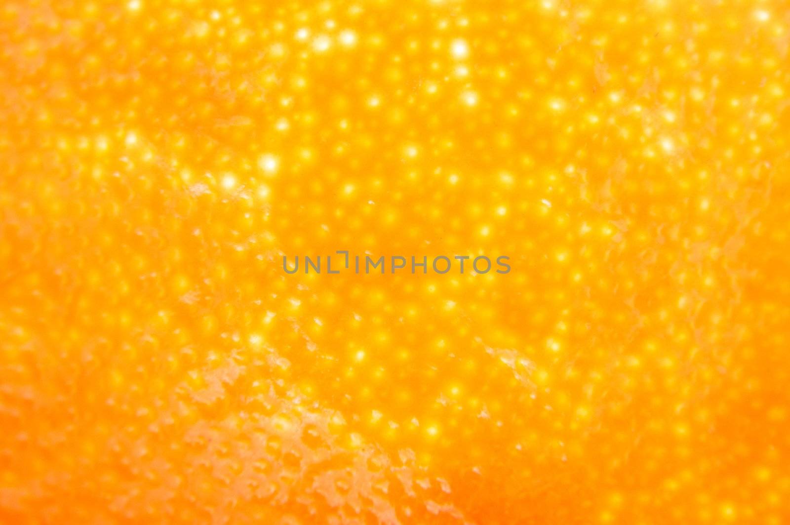 an image of orange fruit surface as a background