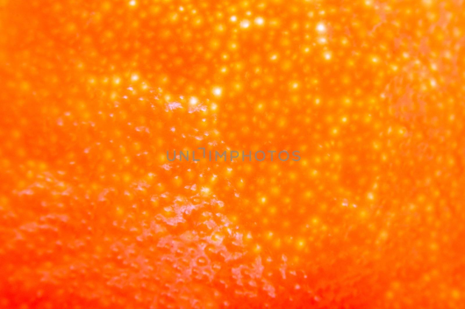 an image of orange fruit surface as a background
