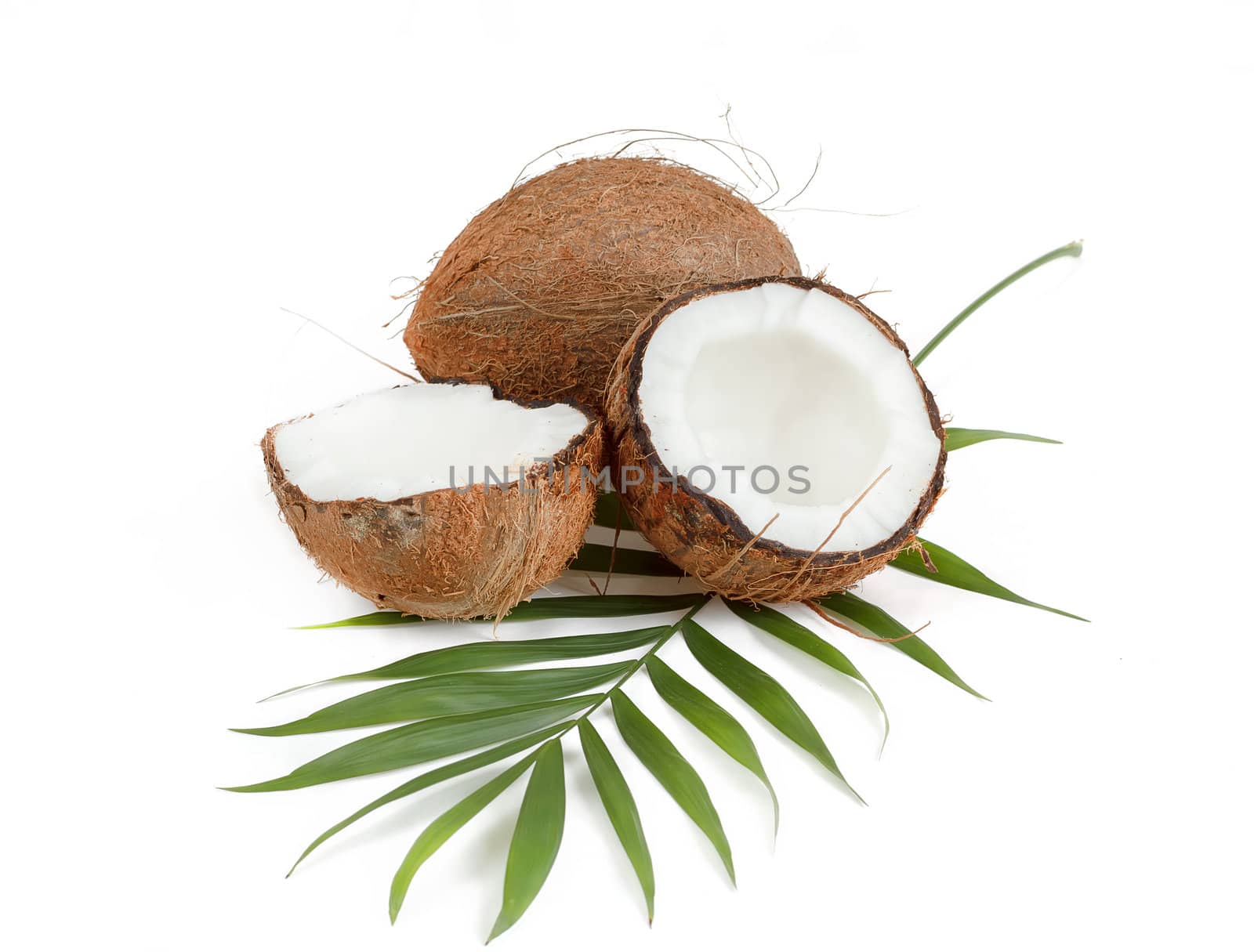 Coconut with leaves on a white background 