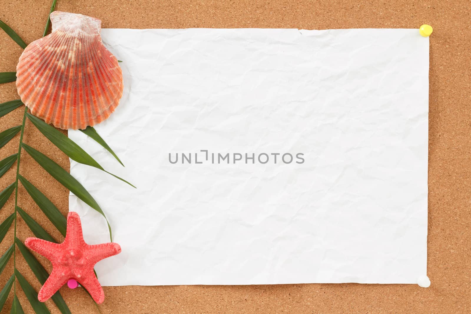 cocrboard with palm leave, crumpled paper and seashell for vacation message