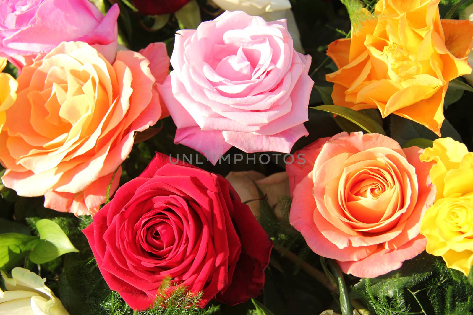 Multicolored roses in a flower arrangement