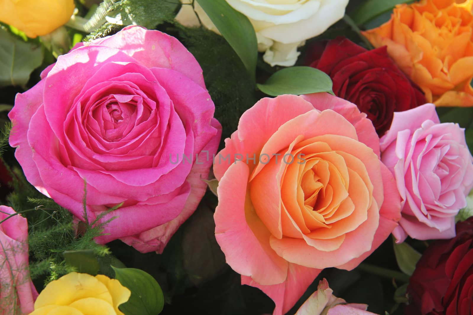 Multicolored roses in a flower arrangement