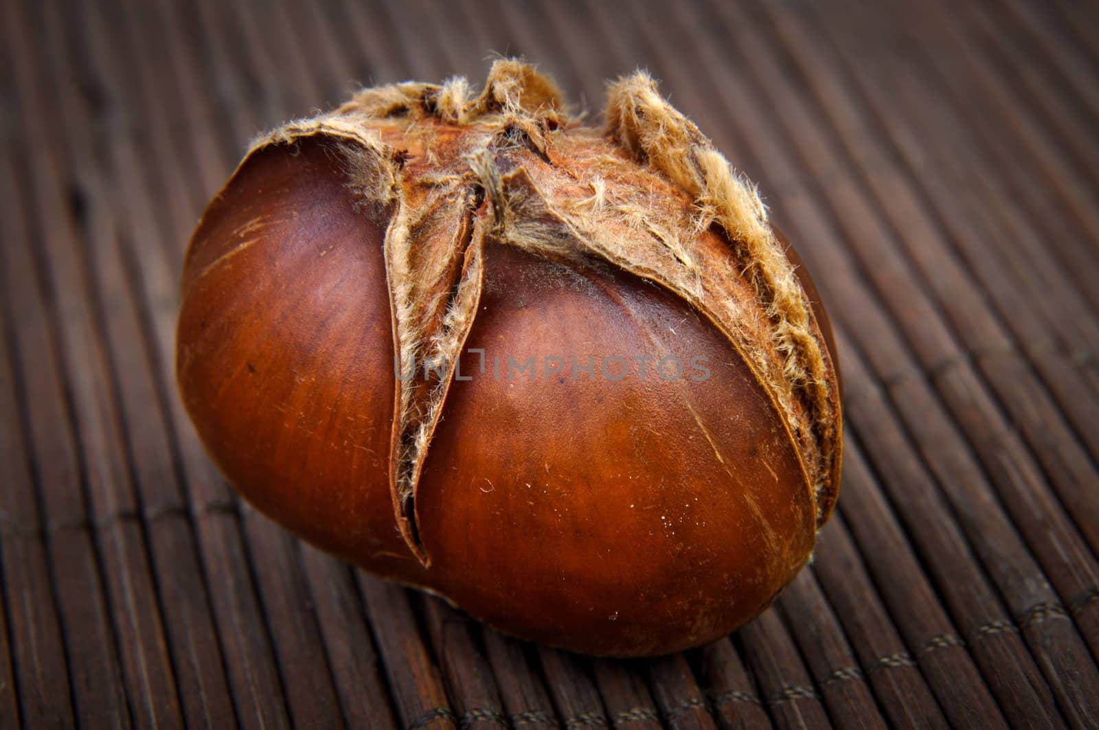 An image of roasted chestnut marron isolated. Castanea Sativa