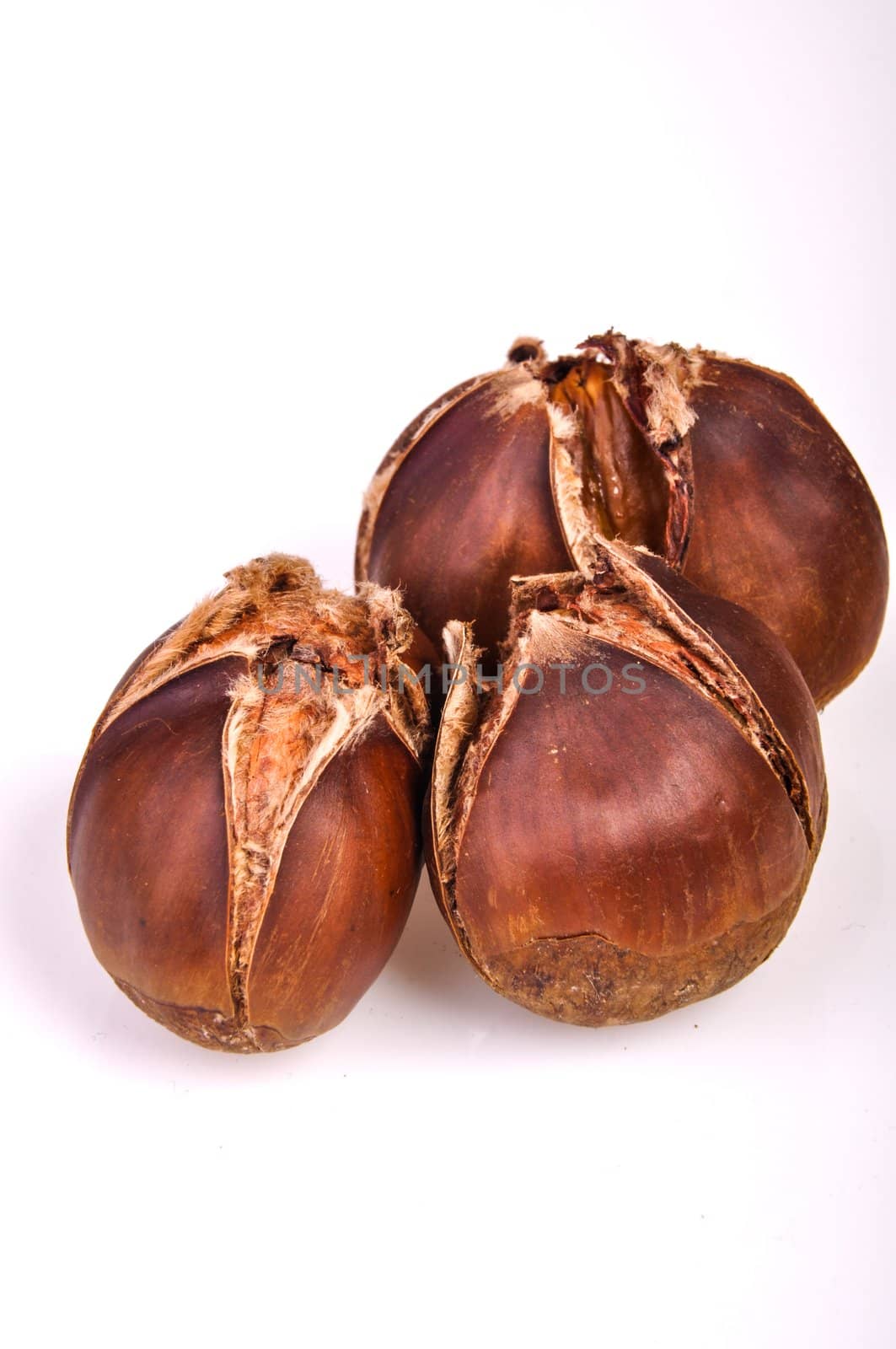 An image of roasted chestnut marron isolated. Castanea Sativa