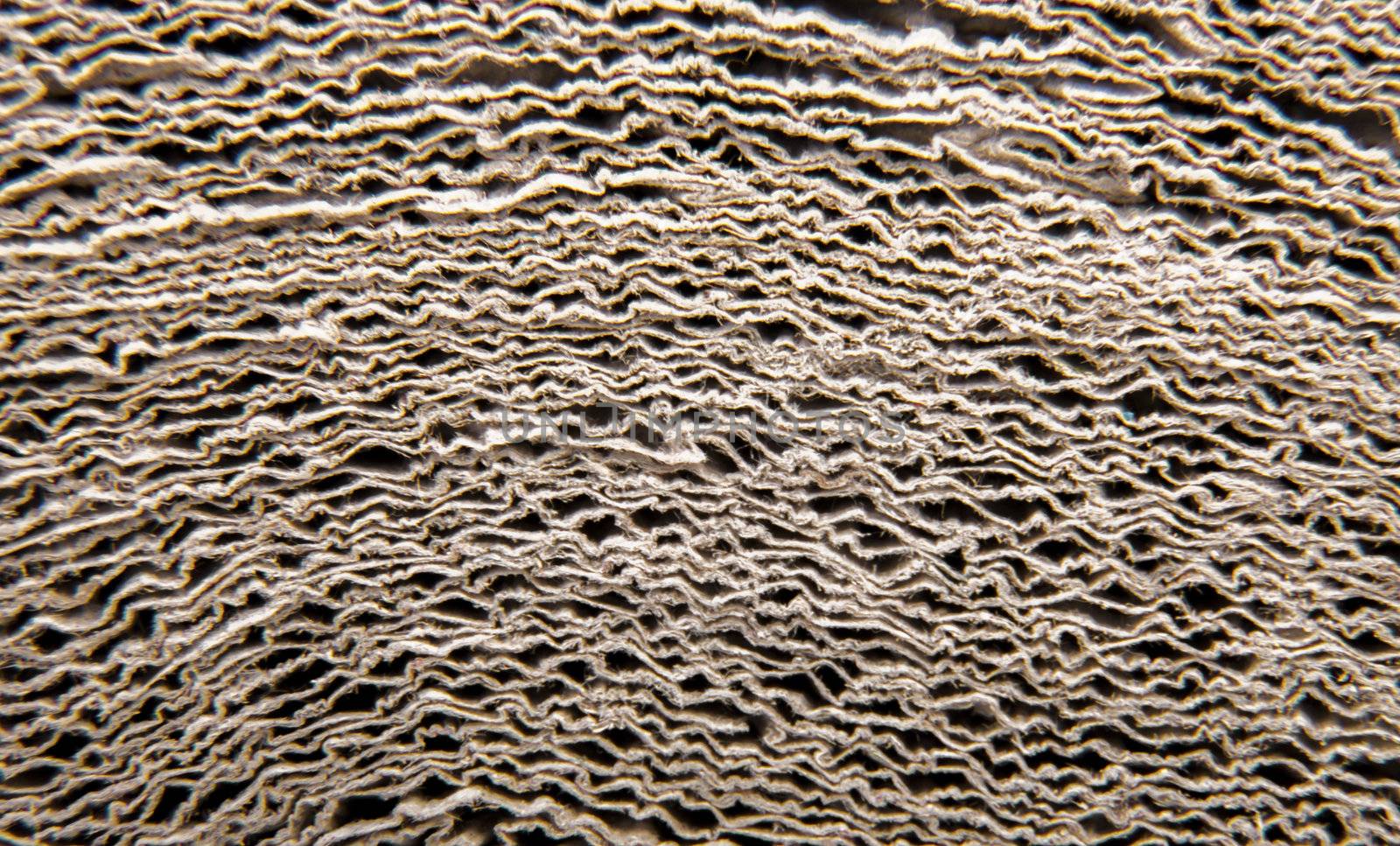 An image of high quality paper background