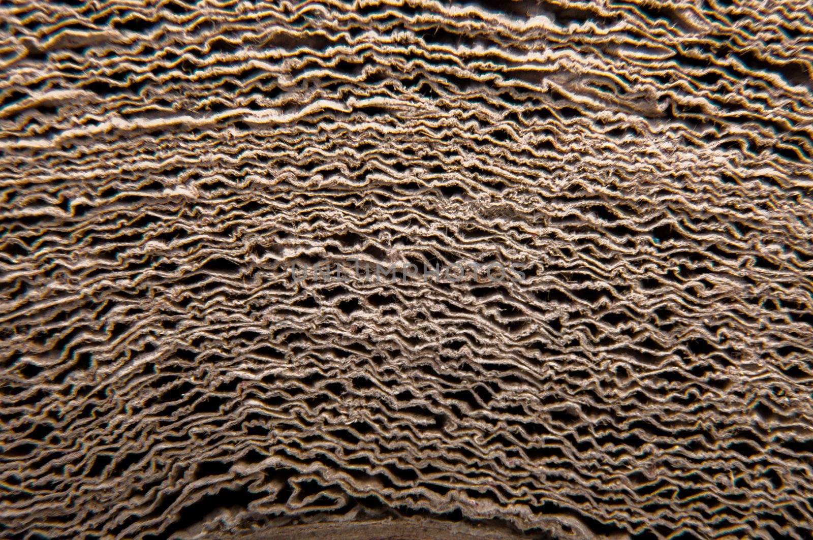 An image of high quality paper background