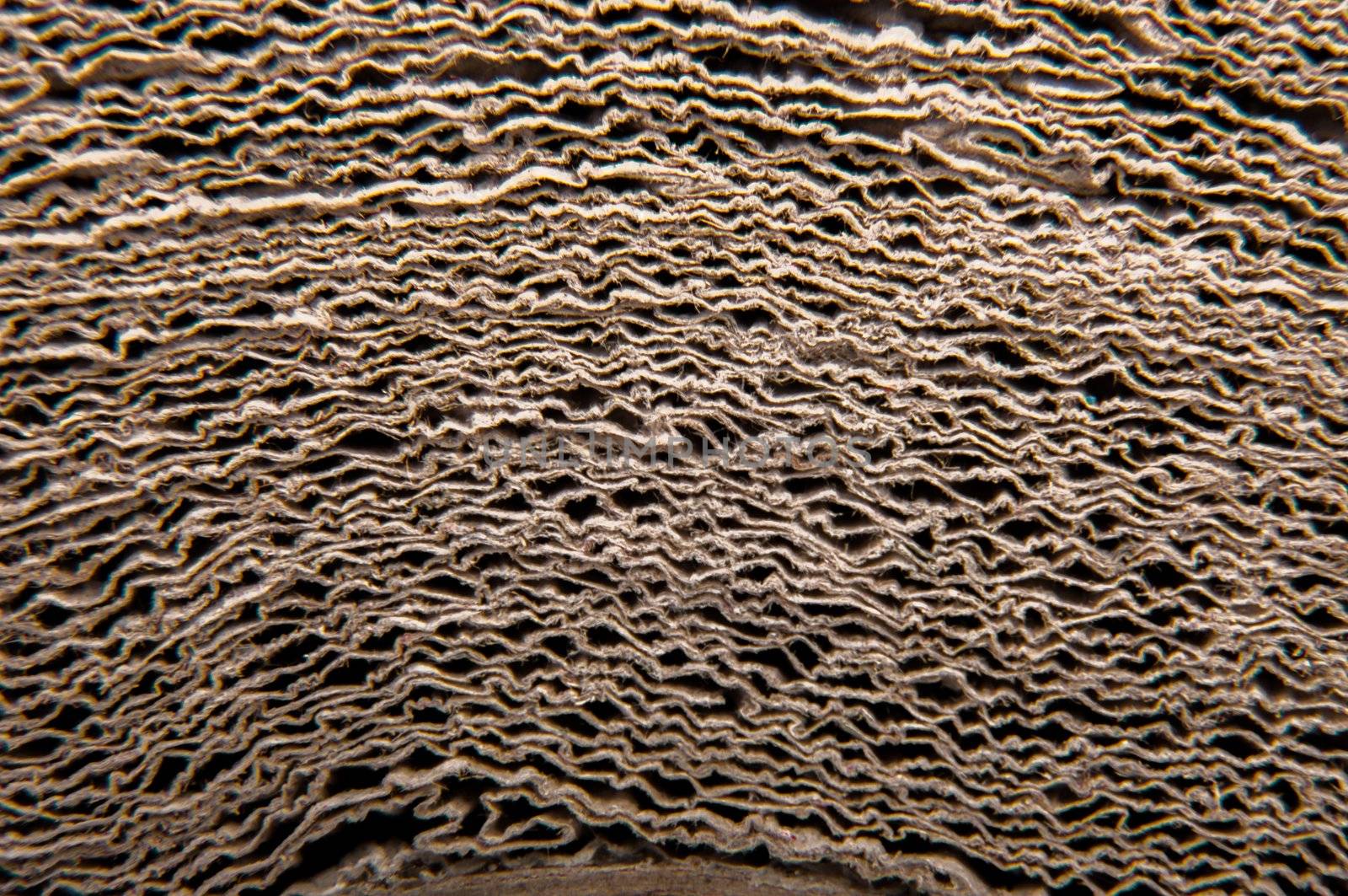 An image of high quality paper background