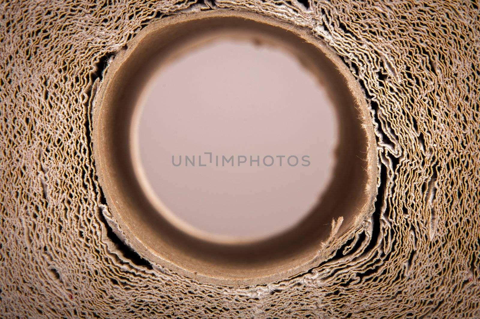 An image of high quality paper background