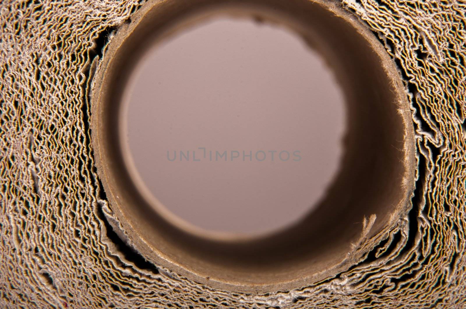 An image of high quality paper background