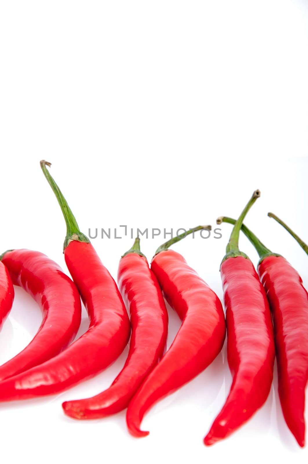 An image of red chilli pepper isolated